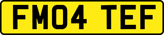FM04TEF