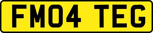 FM04TEG