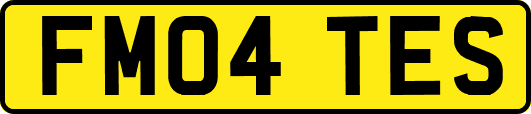 FM04TES