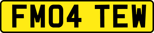 FM04TEW