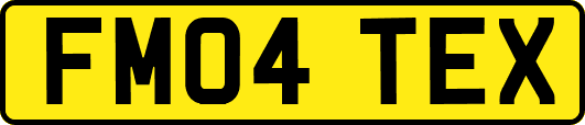 FM04TEX