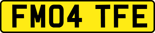 FM04TFE