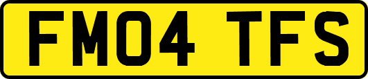 FM04TFS