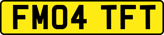 FM04TFT