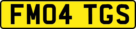 FM04TGS