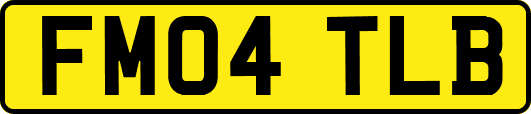 FM04TLB