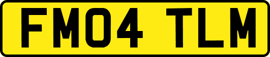FM04TLM
