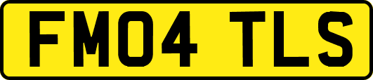 FM04TLS