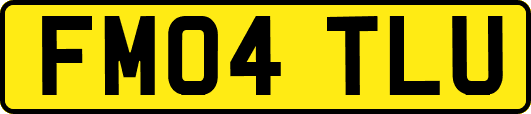 FM04TLU