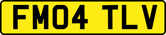 FM04TLV