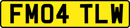 FM04TLW