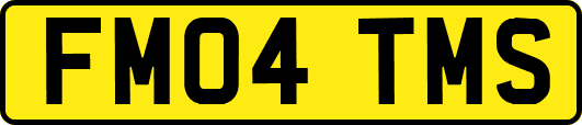 FM04TMS