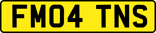 FM04TNS