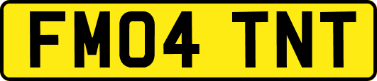 FM04TNT