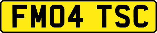 FM04TSC