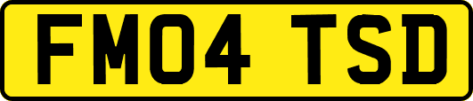 FM04TSD
