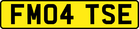 FM04TSE