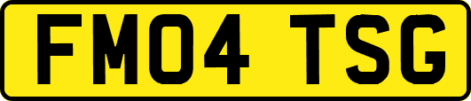 FM04TSG