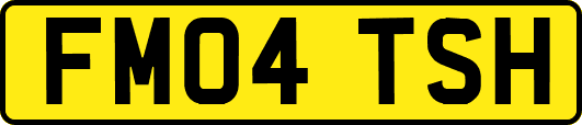 FM04TSH