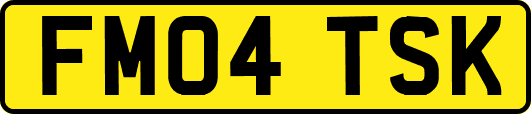 FM04TSK