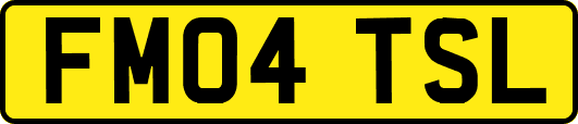 FM04TSL