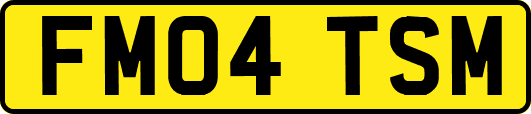 FM04TSM