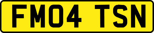 FM04TSN
