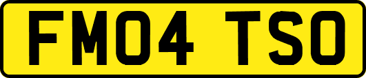 FM04TSO