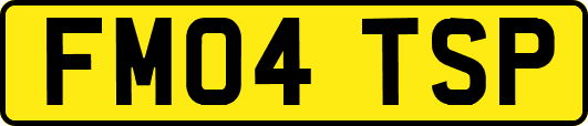 FM04TSP
