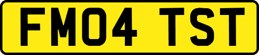 FM04TST