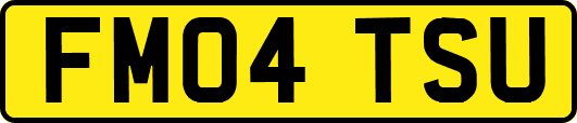 FM04TSU