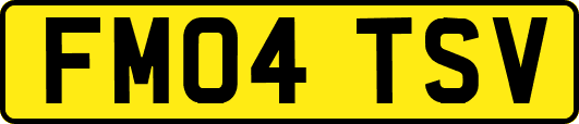 FM04TSV
