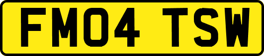 FM04TSW