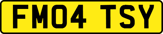 FM04TSY