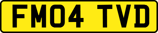 FM04TVD