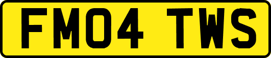 FM04TWS