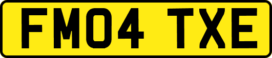FM04TXE