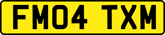 FM04TXM
