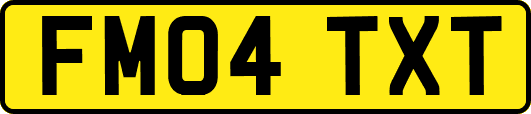 FM04TXT