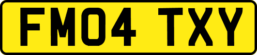 FM04TXY