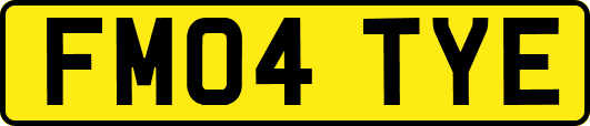 FM04TYE