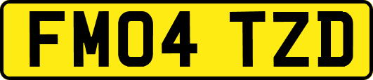 FM04TZD