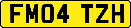 FM04TZH