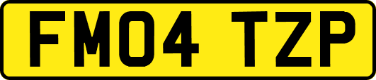 FM04TZP