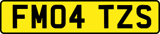 FM04TZS