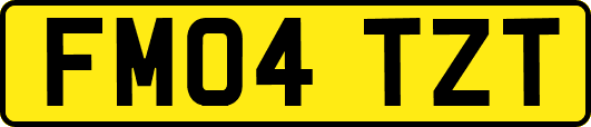 FM04TZT