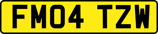 FM04TZW