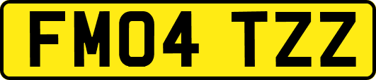 FM04TZZ