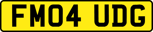 FM04UDG