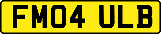 FM04ULB